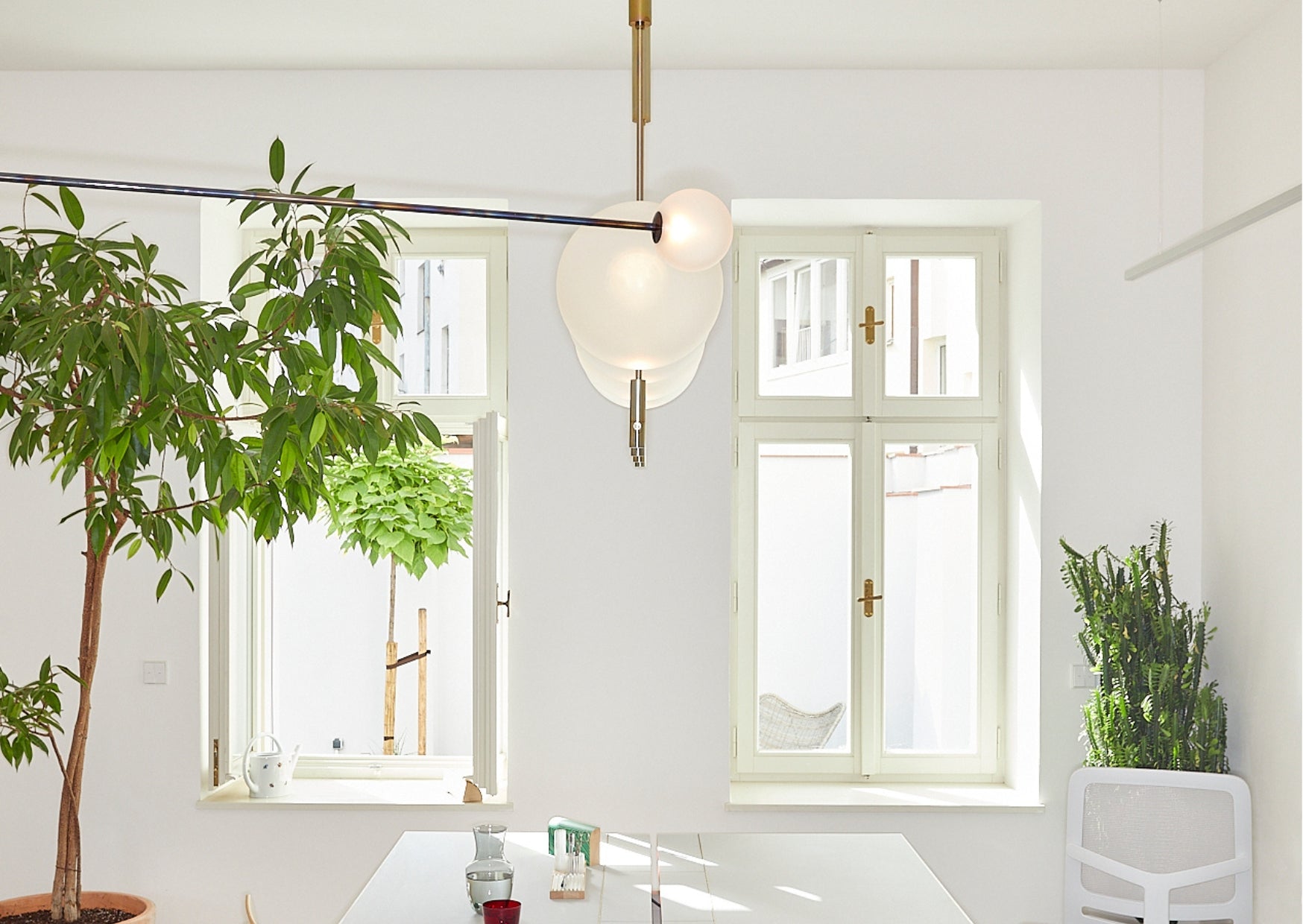 Plantlover: Jiří Krejčiřík