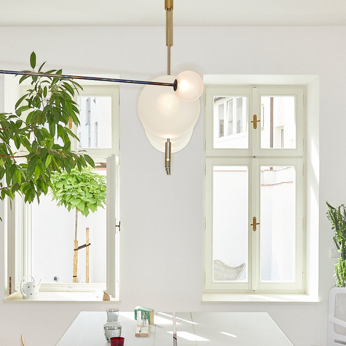 Plantlover: Jiří Krejčiřík