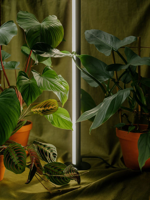 Pěstební světlo Mother PlantSpectrum32