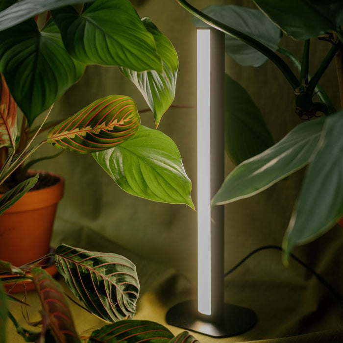 LED světlo PlantSpectrum Mother