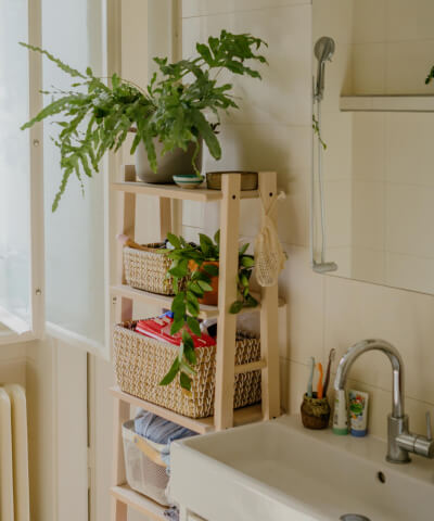 Pokojové rostliny do koupelny