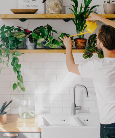 Pokojovové rostliny do kuchyně