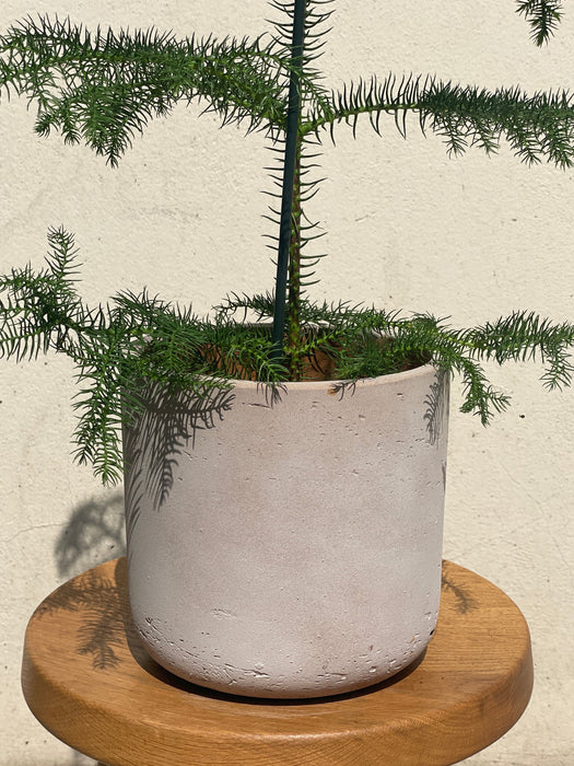 Květináč Pottery Pots Charlie M, béžová 18 cm