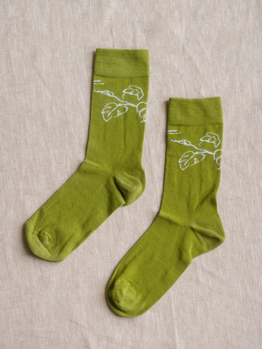 Ponožky Pokojovky