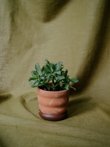 Terakotový květináč s podmiskou vlnky Ø 12 cm