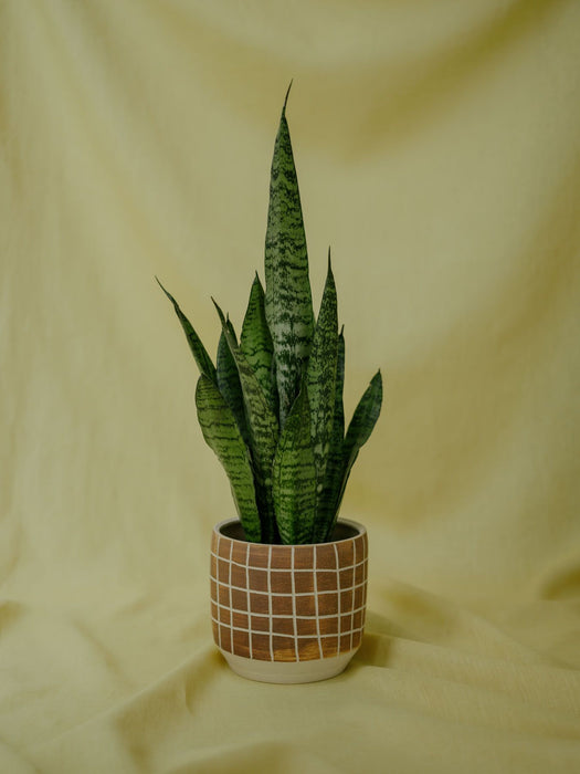 Obal na květináč s hnědými kostkami Ø 14 cm