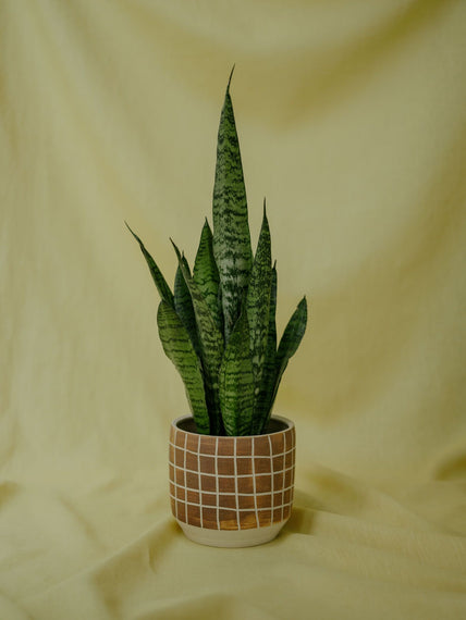 Obal na květináč s hnědými kostkami Ø 14 cm